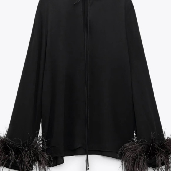 ZARA NEW COLLECTION BLOUSE WITH FEATHER 9075/530 (size XS) - Picture 4 of 8